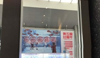 ֧����AR�t��