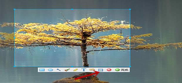 ��X�����Ŀ���I��ʲô_������X