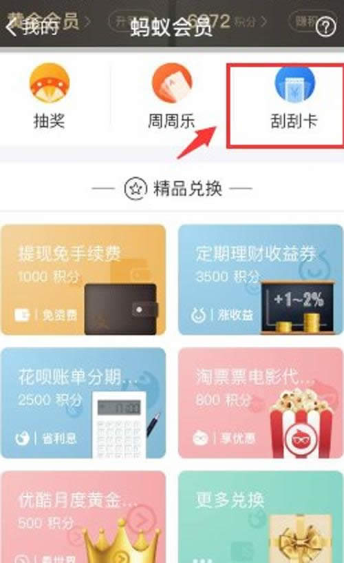 ֧�����ιο�