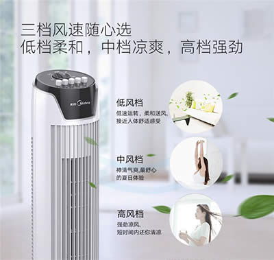 ���ļ�������/��ʽ��L��