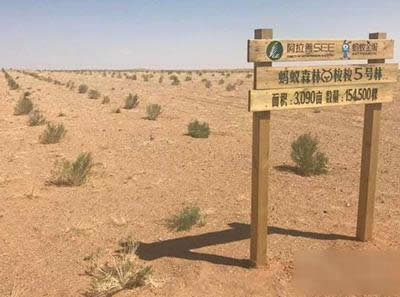 ֧����Λρɭ��