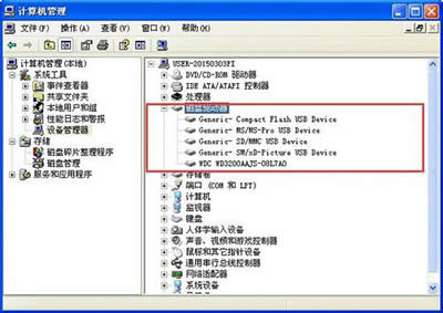 �űP�(q��)��(d��ng)��