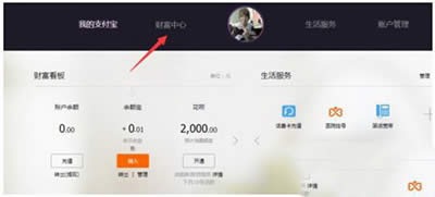 ֧���������