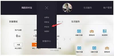 ֧���������