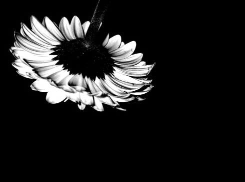 ��X�����_���˙C(j��)