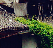 win7����͸���ļ��A