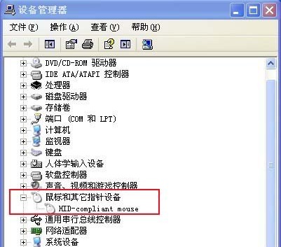 �o����˛]����