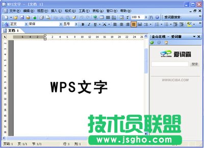 WPS Office 2007������ܚgӭ����
