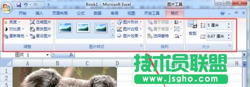 excel������ĈDƬ��α���