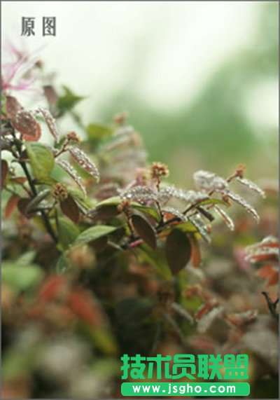 PPT��Ό���ʾ�ĸ��D�Q��Word�ęn ��