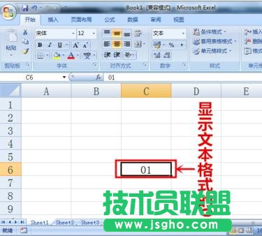excel��ô�O���@ʾ����0