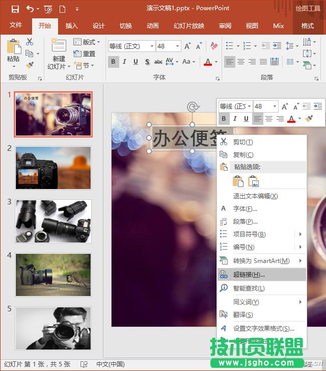 ����������DPPT���  ��