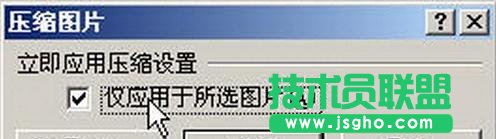 Word2007��Ή��s�DƬ�ߴ�