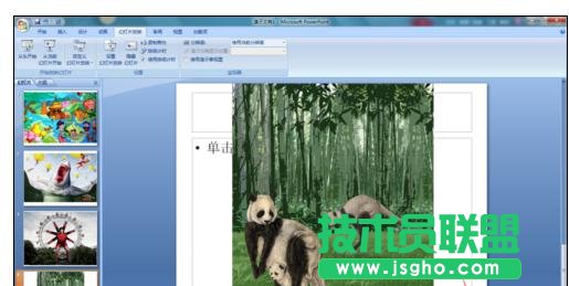 ppt������O�ûß�Ƭ���rѭ�h����