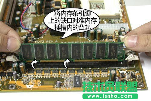 ��(n��i)��l�İ��b����