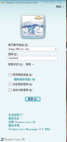 ���ʹ��msn����