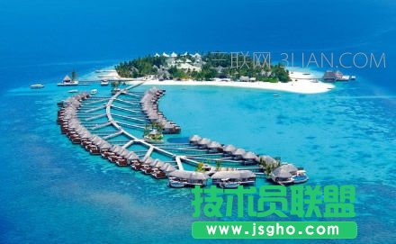 �W���B��X�����O�� ��