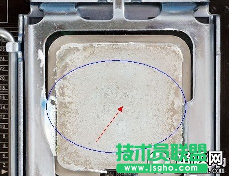 ��X�L�r�gʹ�ú�CPU�����֬���׳��F���������½�