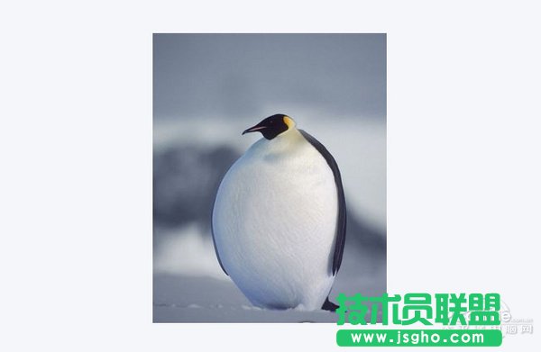 �����ҳ���X���C��������� ��X���C��Q����