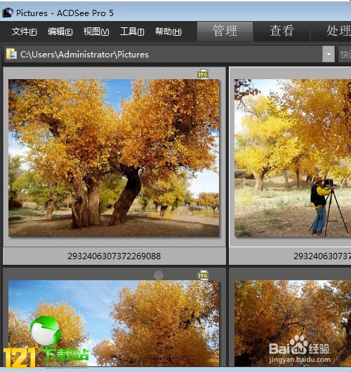 acdsee3.1�Gɫ�汾|acdsee3.1���ľGɫ���M(f��i)�汾���d