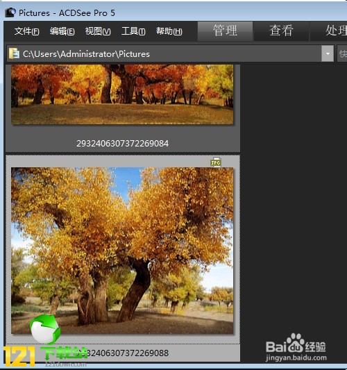 acdsee3.1���ľGɫ���M(f��i)��