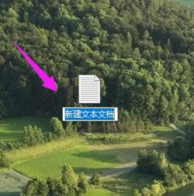 ���_����