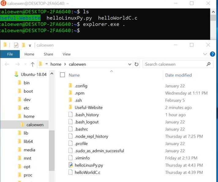 ΢ܛWindows 10 19H1�����A(y��)�[��18342�_(k��i)ʼ����