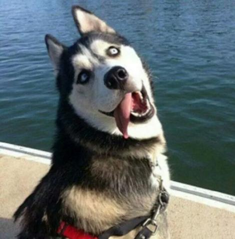 �Pӛ���P(gu��n)�C(j��)