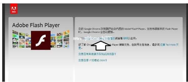 �_���Z��