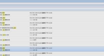 ���_dat�ļ�