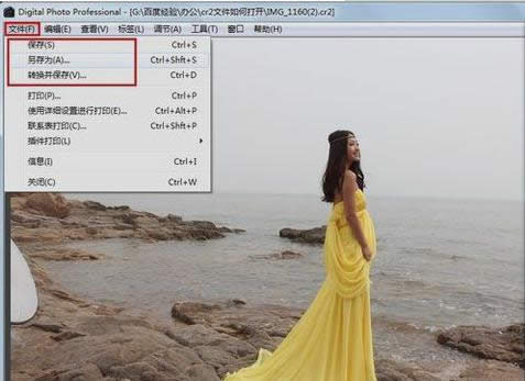 ���_cr2�ļ�