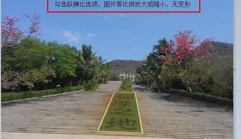 ���ĈDƬ��С