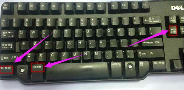 ����o�D��