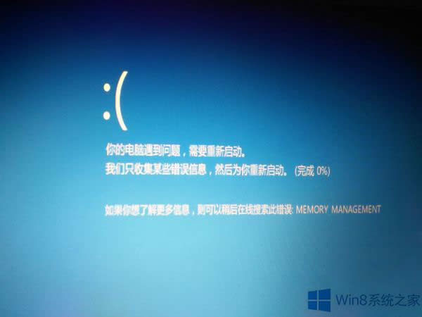 Win8.1�{���e�`Memory Management��̎������