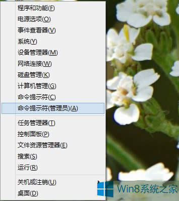 Win8.1ϵ�y����c���_ʼ���o�]�з�����ô�k��