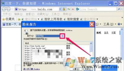 win8�g�[�����ܵ�䛾W��~̖��ʾ��Ҫ�_��cookies������ν�Q - �Pӛ��֮��