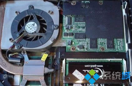 �L���D�S���P