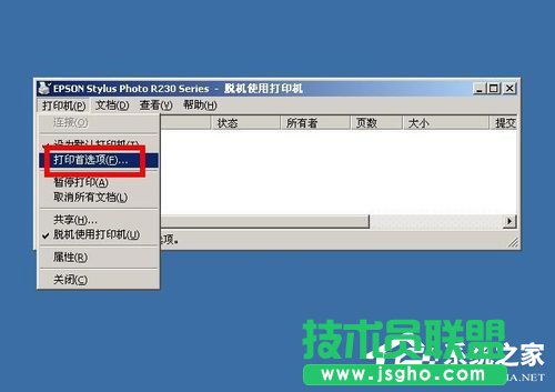 XP��ϴ��ӡ�Cepson���^�Ĳ������E(2)