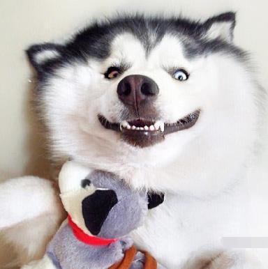 �o���I�P�]������ν�Q��