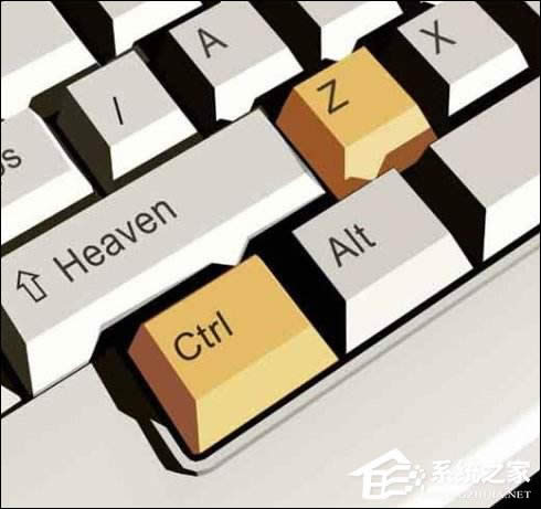 ������֪��XP����ϵ�y����չʾ