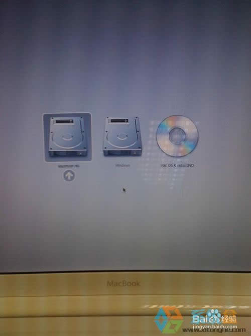 �O��Mac��ΰ��bxpϵ�y