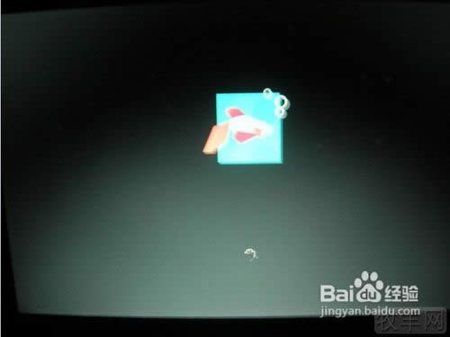 ��ô���bw8ϵ�y